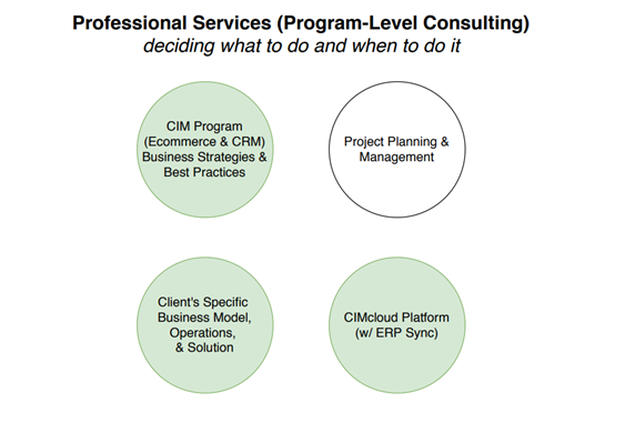 Professional Services CIMcloud Implementation Partners Program Consulting