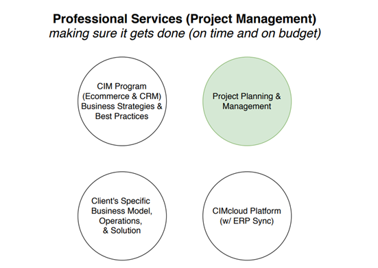Professional Services CIMcloud Implementation Partners Proj Mgmt