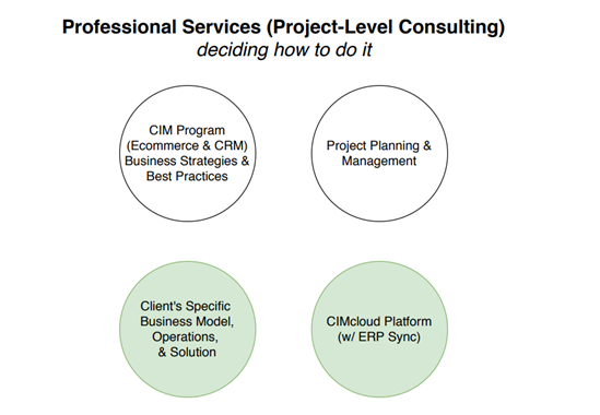 Professional Services CIMcloud Implementation Partners Project Consulting