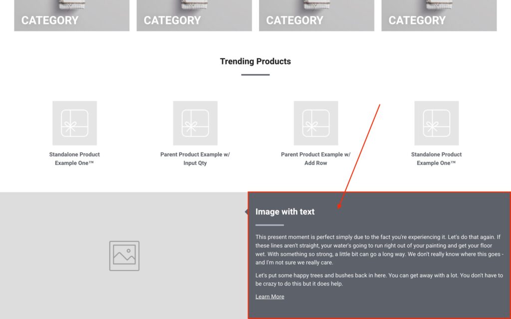 Features Customer Site Design Settings Footer Section Text